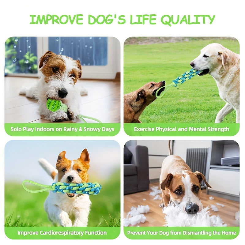 Dog Indoor/Outdoor Bungee Hanging Toy & Dog Potty For Indoor Or Porch