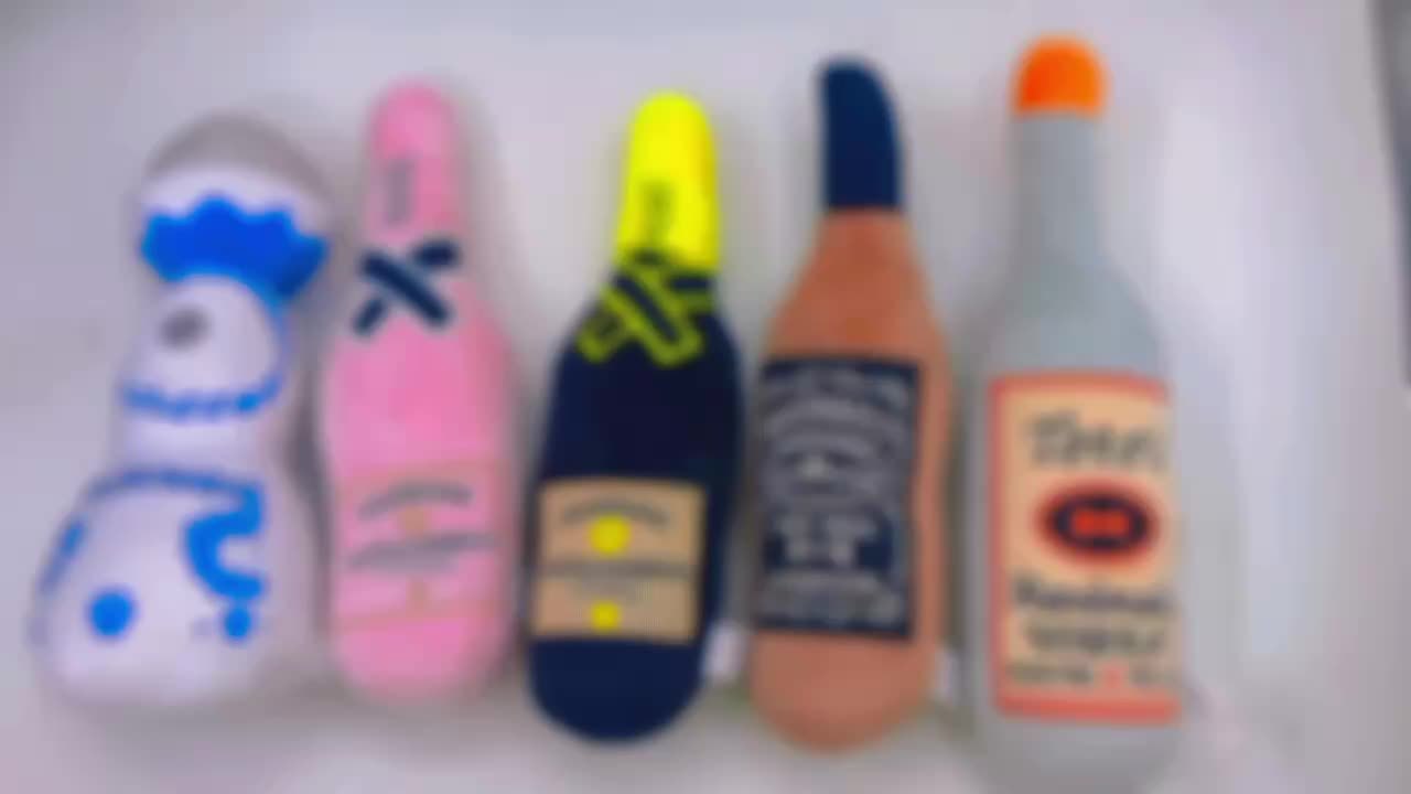 1pc Interactive Dog Toy Bottle - Squeaky Plush