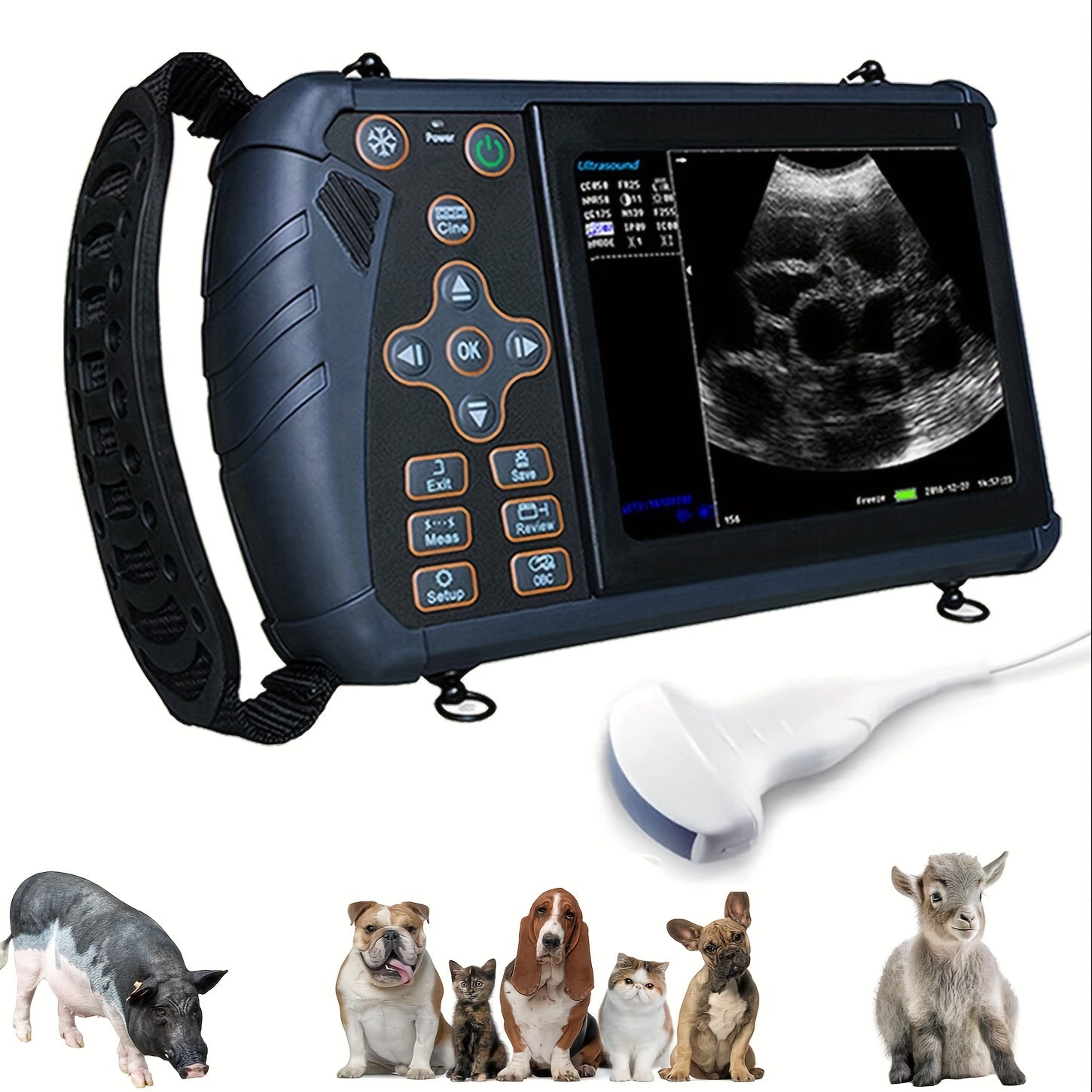 Portable Vet Ultrasound Machine For Pregnancy Veterinary Ultrasound Scanner With 3.5Mhz Convex Probe For Dog, Cat, Goat, Pig...