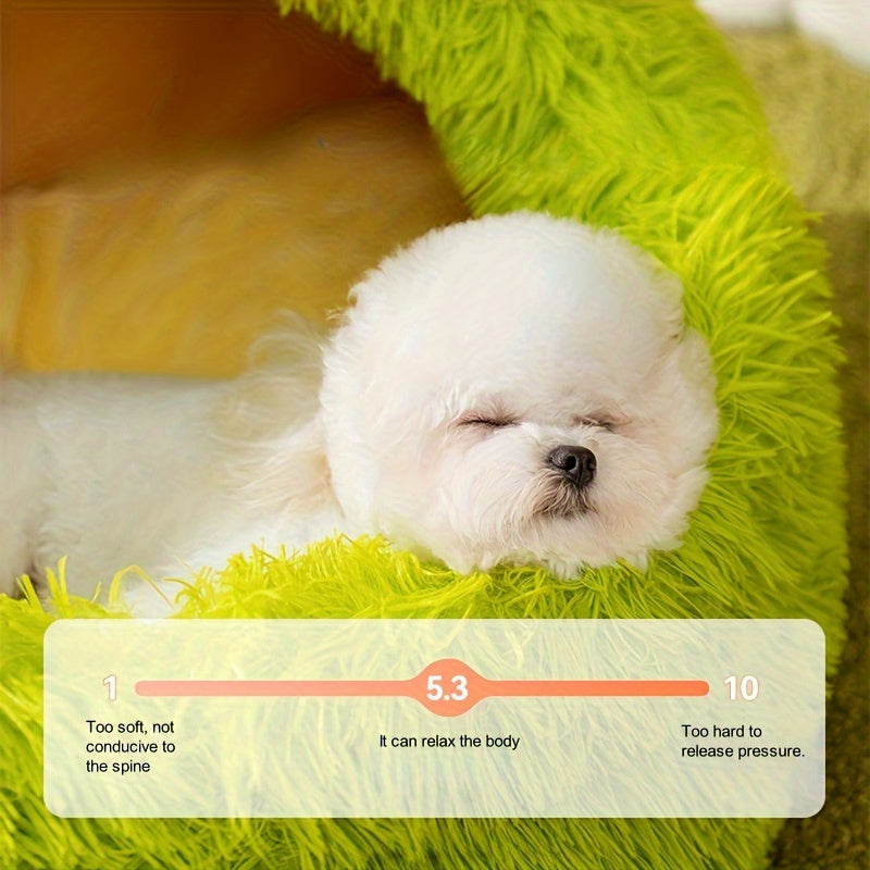 Monster Dog & Cat Bed