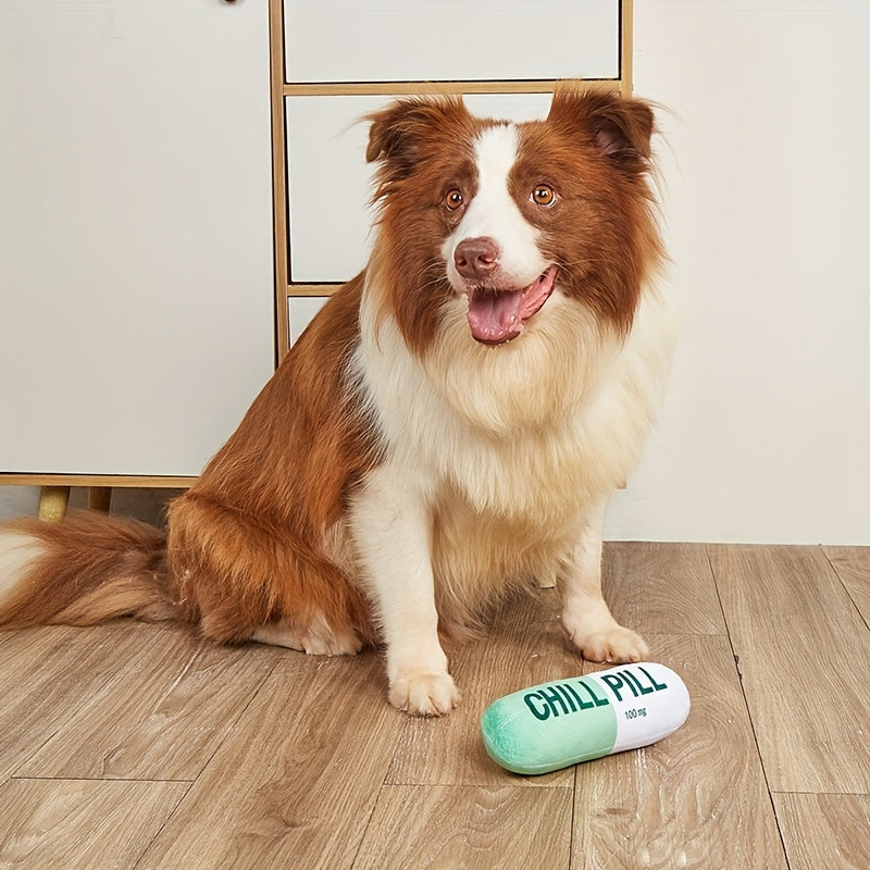 Chill Pill Squeak Toy for Dogs
