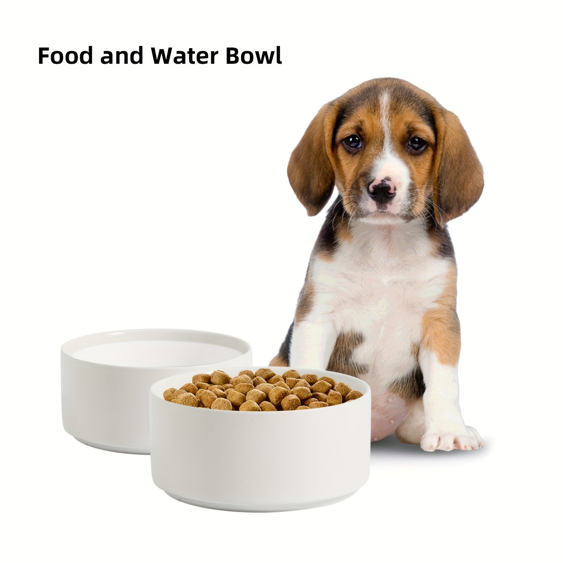 Pet Food And Water Bowl