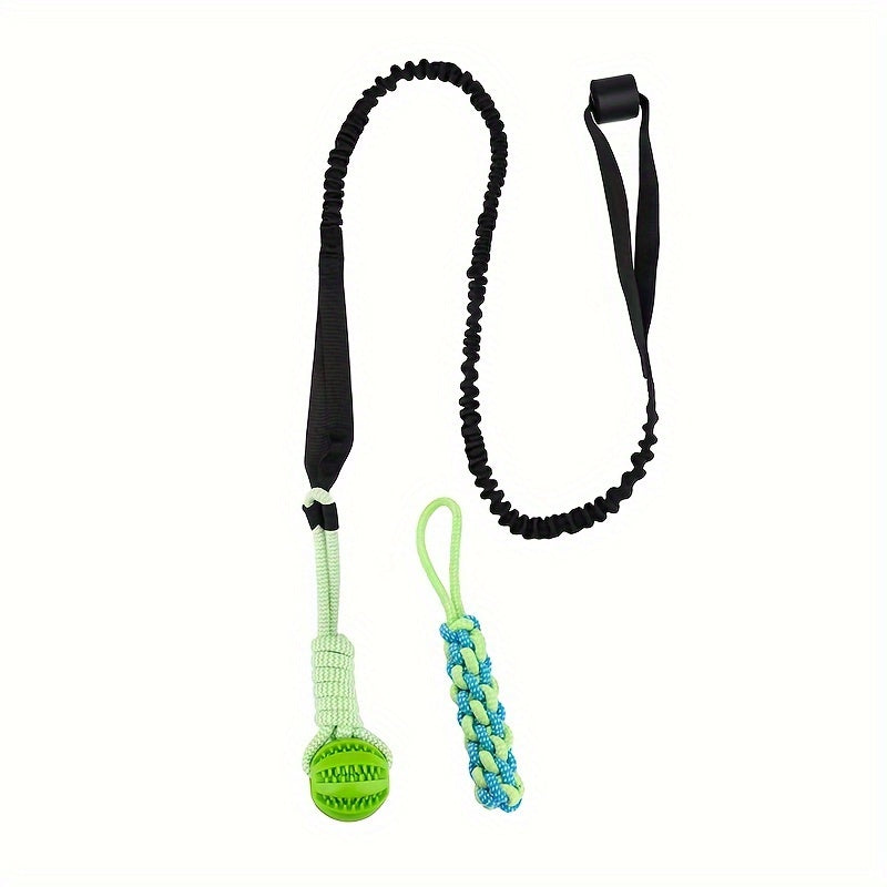 Dog Indoor/Outdoor Bungee Hanging Toy & Dog Potty For Indoor Or Porch