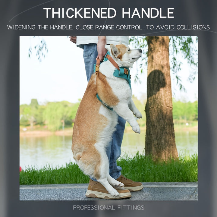 High-Quality Pet Chest Harness