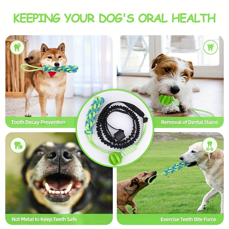 Dog Indoor/Outdoor Bungee Hanging Toy & Dog Potty For Indoor Or Porch