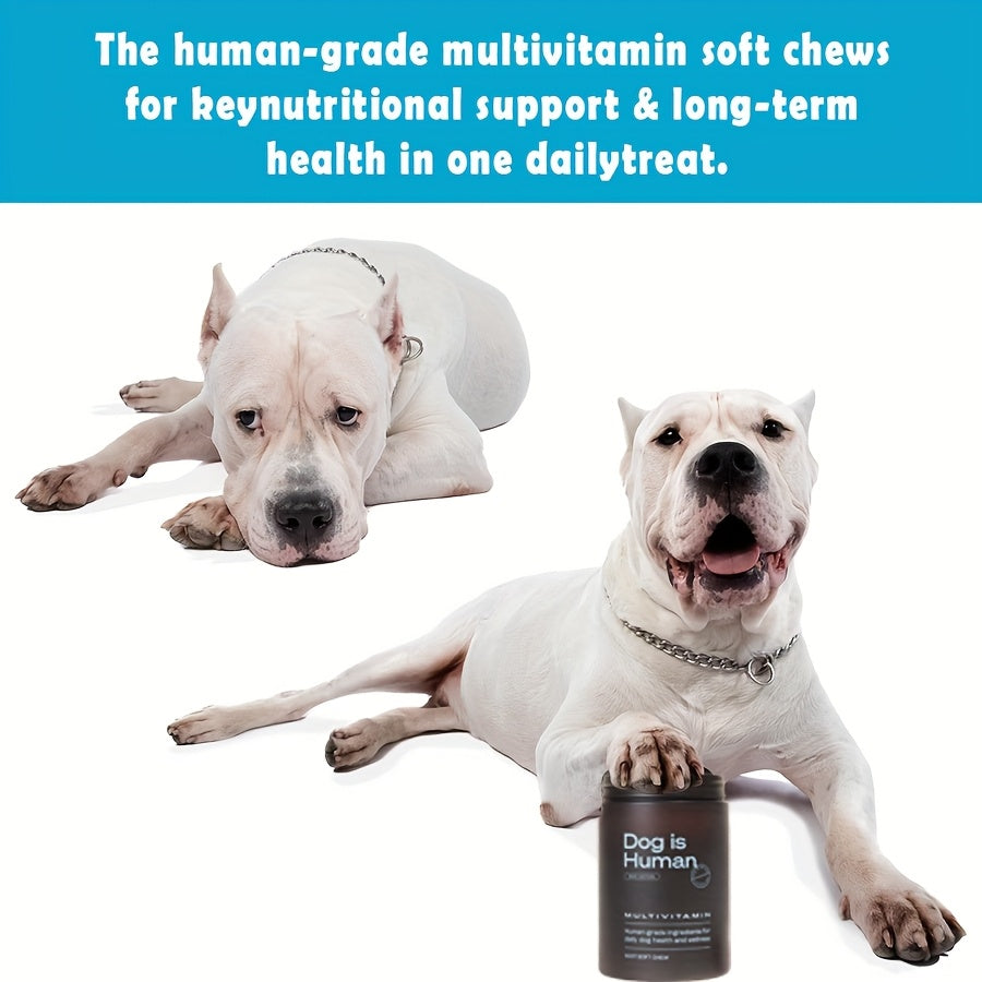 Dog Is Human Daily Multivitamin For Dogs | Beef Flavor 60 Tablets Coat Health + Immune Support Protects 5 Major Health Dimensions In One Can