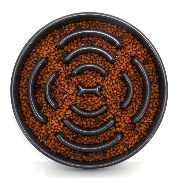 Ruicyg Interactive Dog Feeder - Slow Feed Puzzle Bowl for Healthy Eating