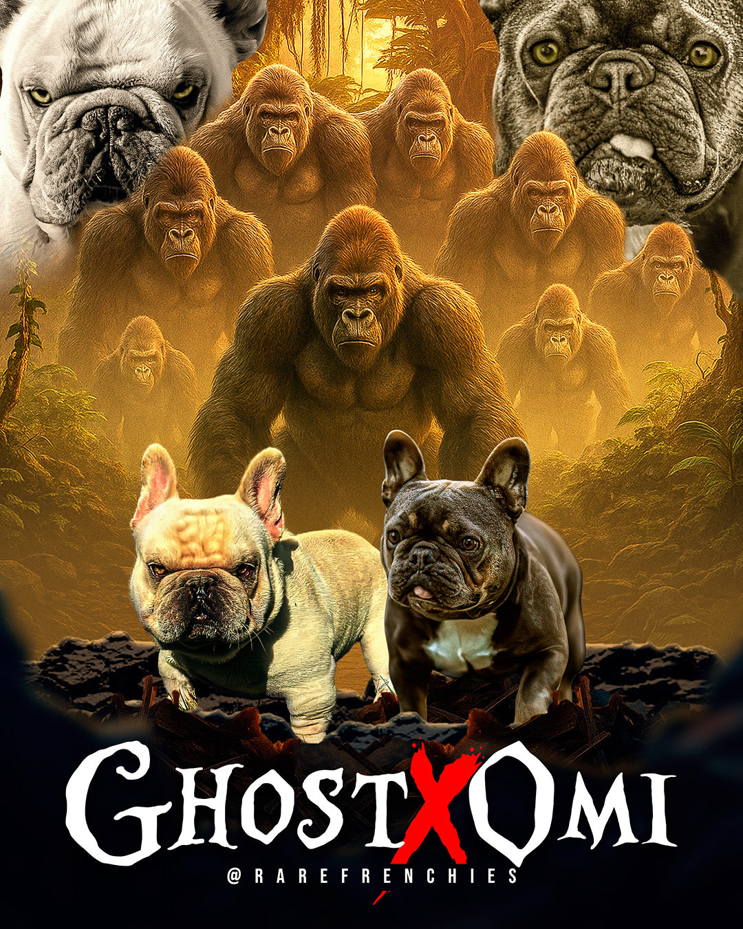 RareFenchies Omi X 908sOwn Ghost