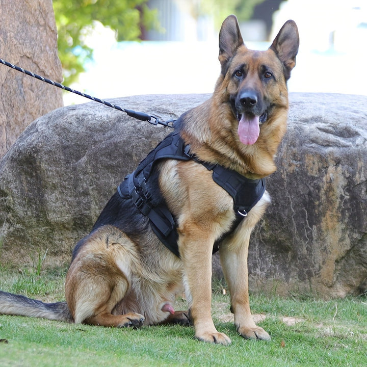 Tactical Dog Harness - rarefrenchies 