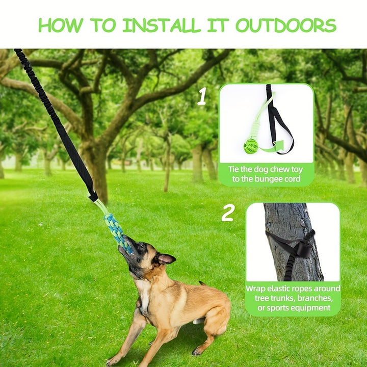 Dog Indoor/Outdoor Bungee Hanging Toy & Dog Potty For Indoor Or Porch