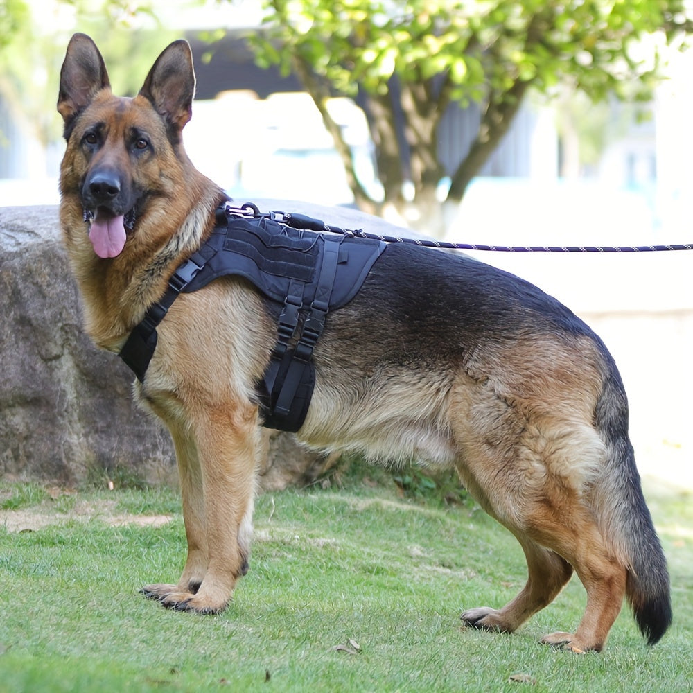 Tactical Dog Harness - rarefrenchies 