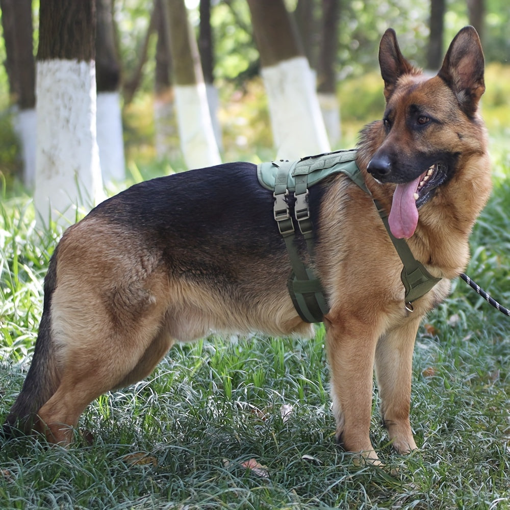 Tactical Dog Harness - rarefrenchies 