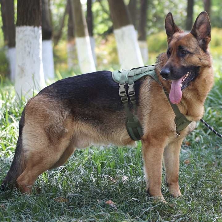 Tactical Dog Harness - rarefrenchies 