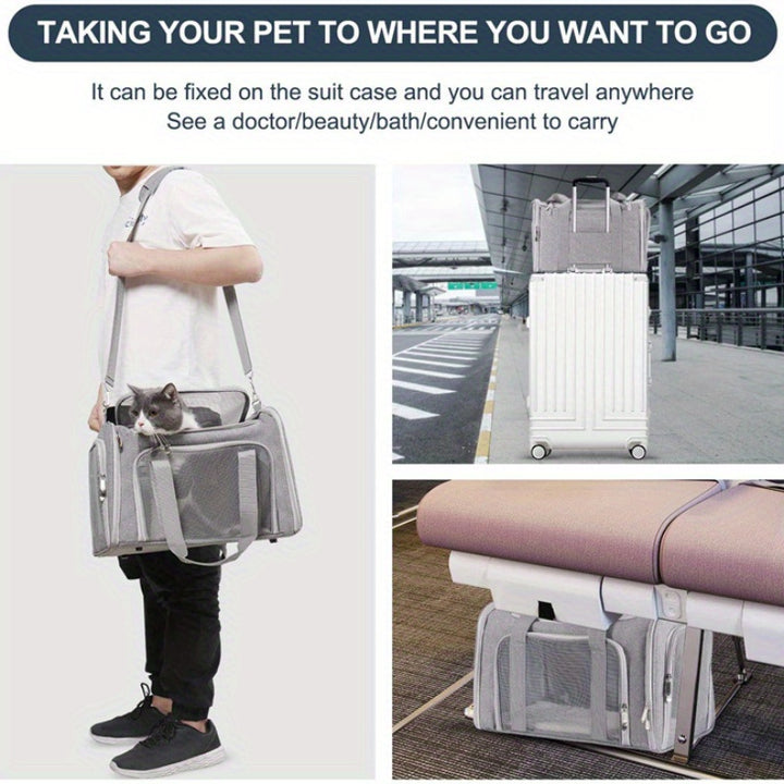 25Lbs Large Soft Sided Cat and Pet Carrier - Collapsible, Waterproof, Travel-Friendly, and Spacious Carrier for Cats and Puppies - rarefrenchies 