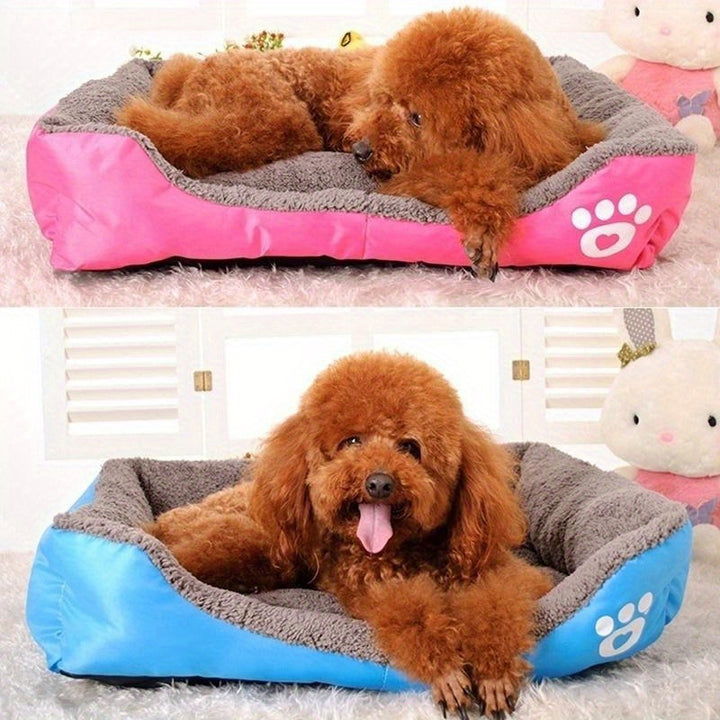 Paw Printed Pet Bed - rarefrenchies 