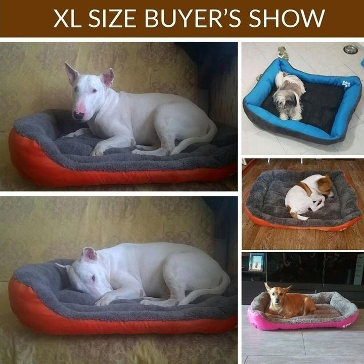Paw Printed Pet Bed - rarefrenchies 