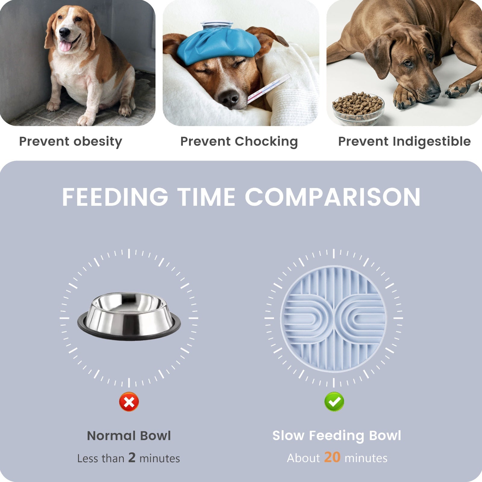 Silicone Dog & Cat Lick Mat & Slow Feeder - rarefrenchies 