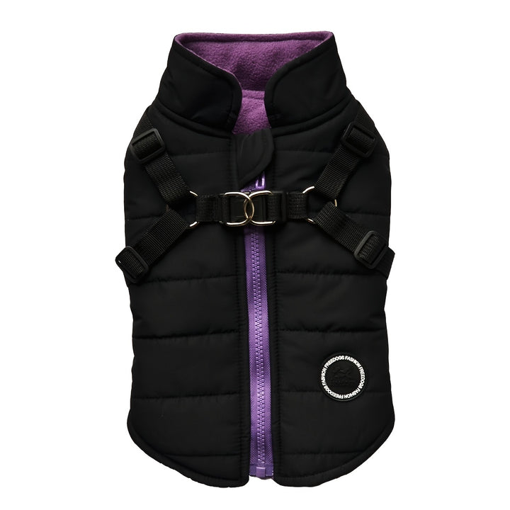 Padded Dog Vest with Harness for Small and Medium Dogs - rarefrenchies 