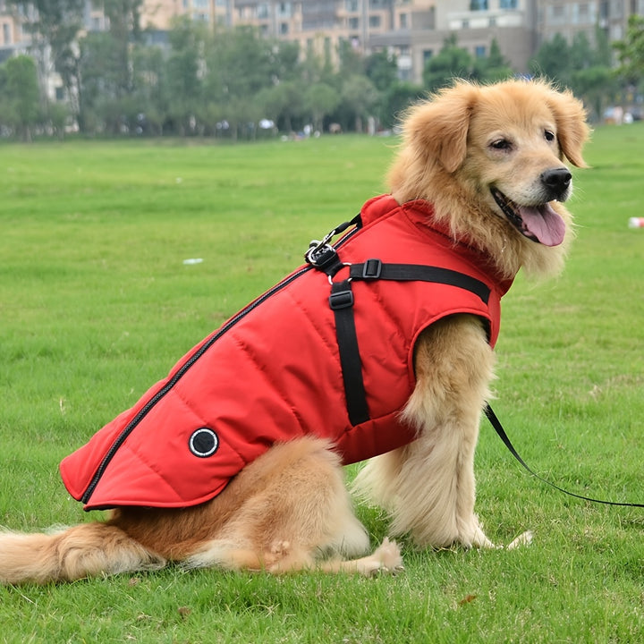Padded Dog Vest with Harness for Small and Medium Dogs - rarefrenchies 
