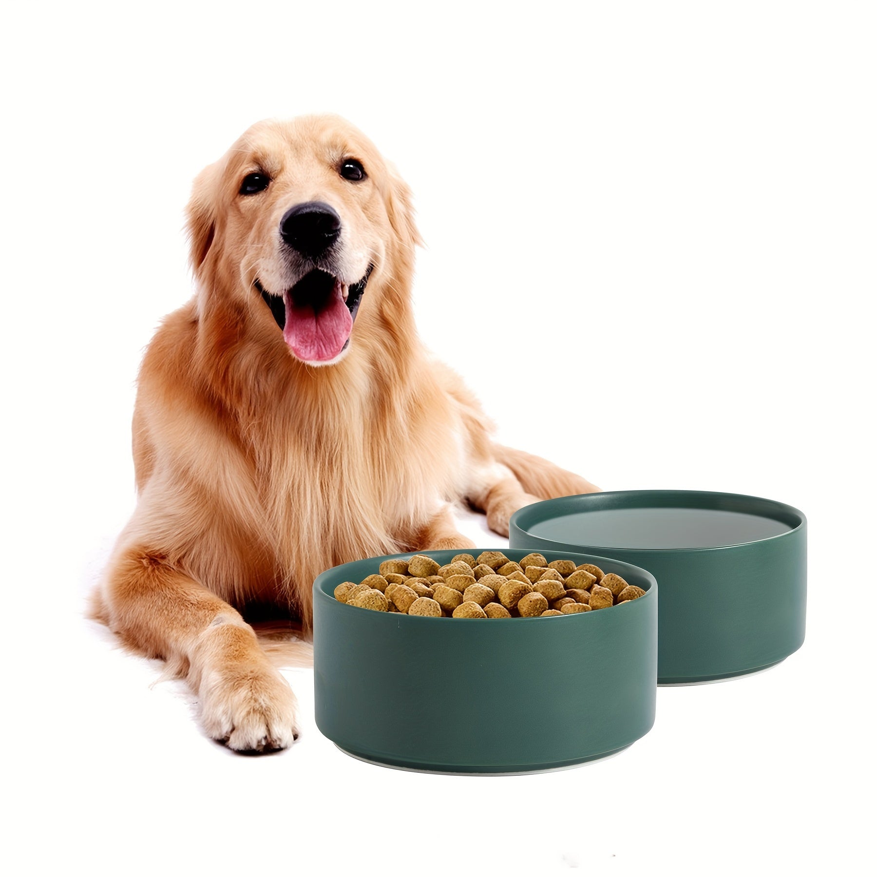 Pet Food And Water Bowl - rarefrenchies 