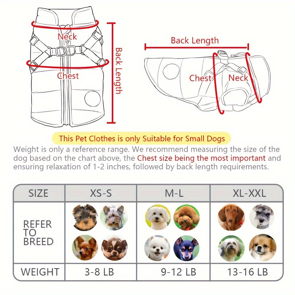 Padded Dog Vest with Harness for Small and Medium Dogs - rarefrenchies 