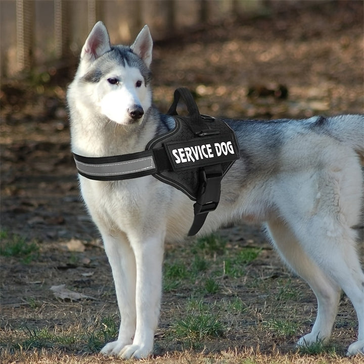 Dog Harness No-Pull Service Dog Harness With Handle Adjustable Outdoor Pet Dog Vest Reflective Nylon Material Vest For Small Medium Large Dogs - For Training & Walking - Suitable for All Breeds - Perfect Gift for Dog Owners