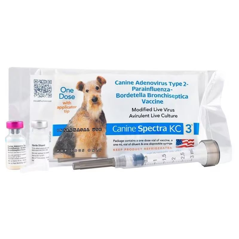 Vaccines & Deworming - rarefrenchies 