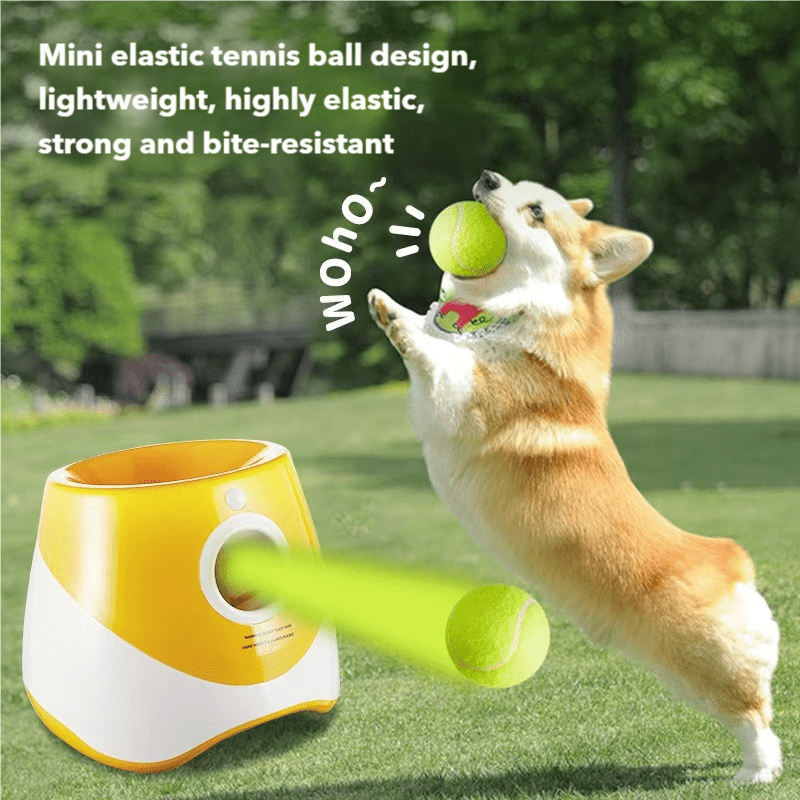 Automatic Dog Ball Launcher - rarefrenchies 