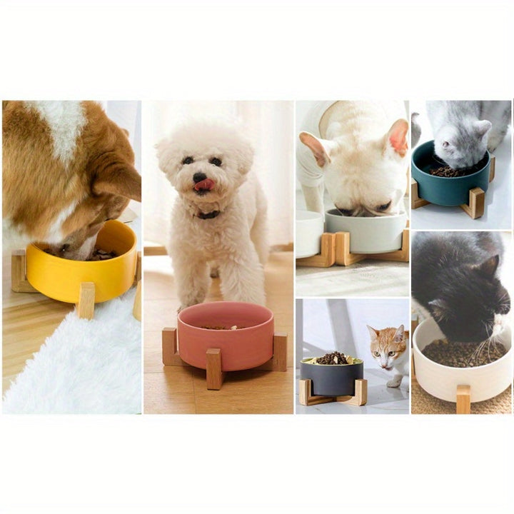Elevated Pet Bowls with Stand, Ceramic Dog Bowl for Food & Water - rarefrenchies 