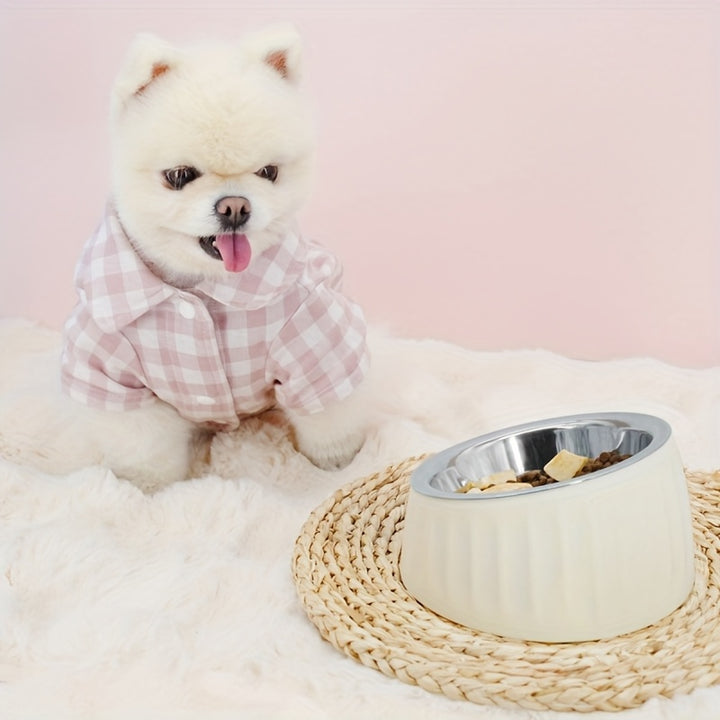 Slanted Stainless Steel Dog Cat Food Bowl - rarefrenchies 