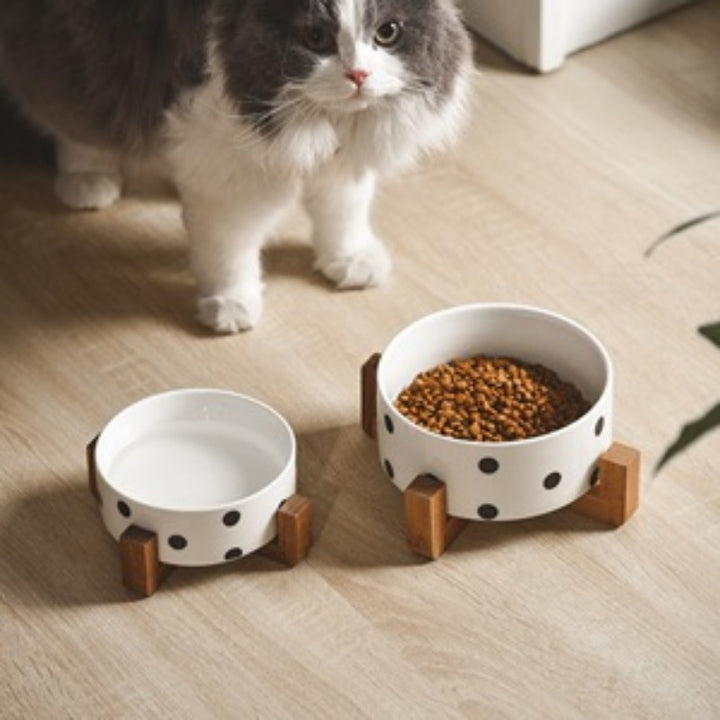 Elevated Pet Bowls with Stand, Ceramic Dog Bowl for Food & Water - rarefrenchies 