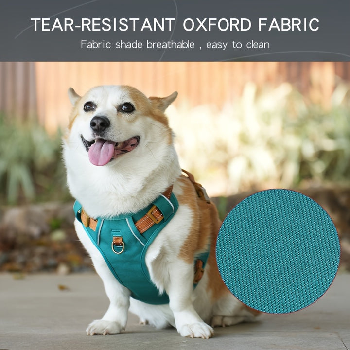 High-Quality Pet Chest Harness - rarefrenchies 