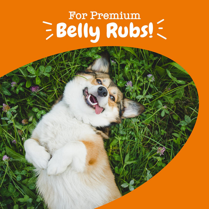 Zesty Paws Probiotics for Dogs - Digestive Enzymes for Gut Flora, Digestive Health, Diarrhea & Bowel Support - Clinically Studied DE111 - Dog Supplement Soft Chew for Pet Immune System - Chicken - rarefrenchies 