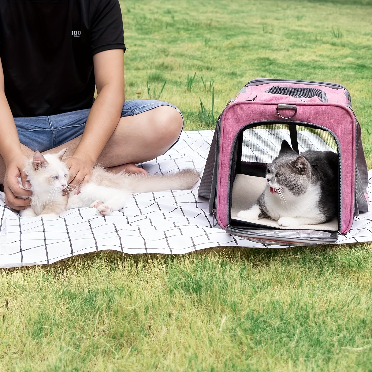 Large & Medium Pet Carrier - Soft-Sided Carrier For Cats, Puppies, Dog Carriers, Cat Carriers With Pet Privacy Protection - rarefrenchies 