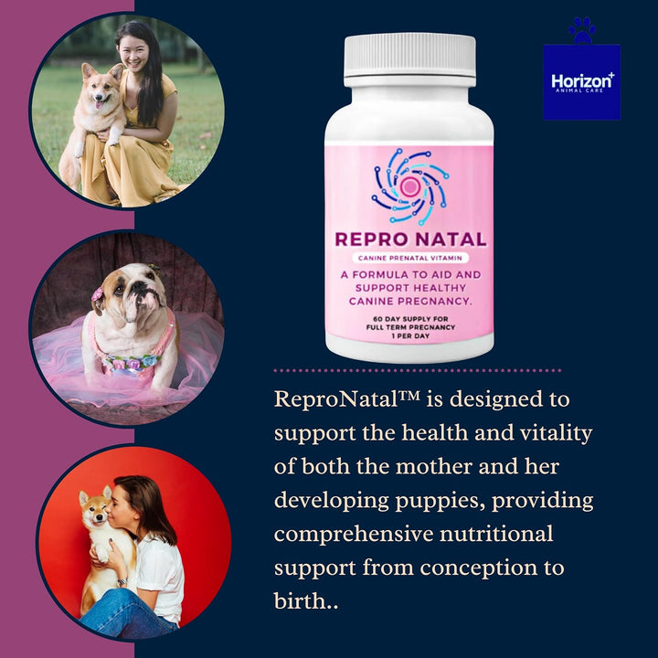 Canine Prenatal Multi-Vitamin Capsules - 60-Day Supply to Aid Full-Term Pregnancies and Promote Optimal Health for Expecting Dogs - ReproNatal™ Dog Supplement - rarefrenchies 