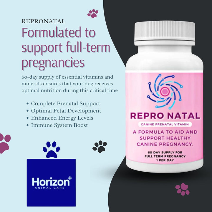 Canine Prenatal Multi-Vitamin Capsules - 60-Day Supply to Aid Full-Term Pregnancies and Promote Optimal Health for Expecting Dogs - ReproNatal™ Dog Supplement - rarefrenchies 