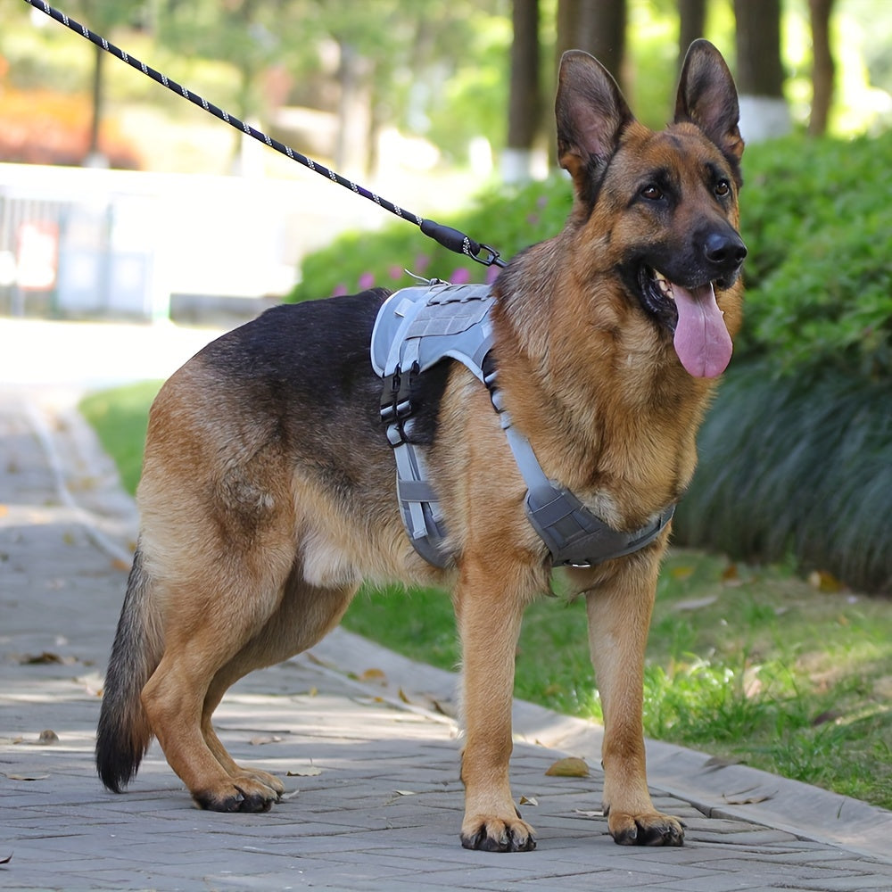 Tactical Dog Harness - rarefrenchies 