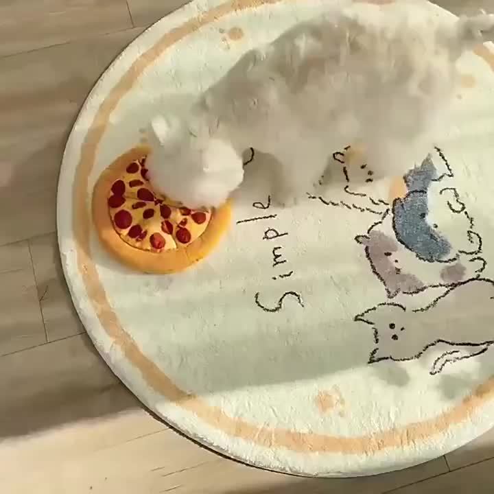 Plush Pepperoni Pizza Dog Toy - rarefrenchies 