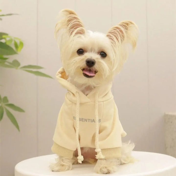 Essentials Dog Sweater - rarefrenchies 