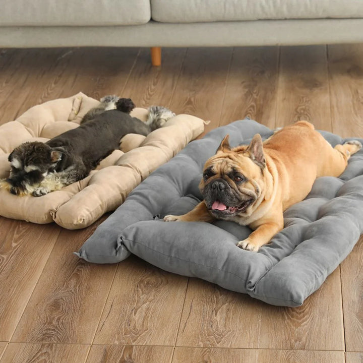 Warm Dog Sofa Bed Winter Pet Dog Cat Bed Sleeping House Kennel Mat Cat Puppy Mattress Pet House Cushion For Small Large Dogs - rarefrenchies 