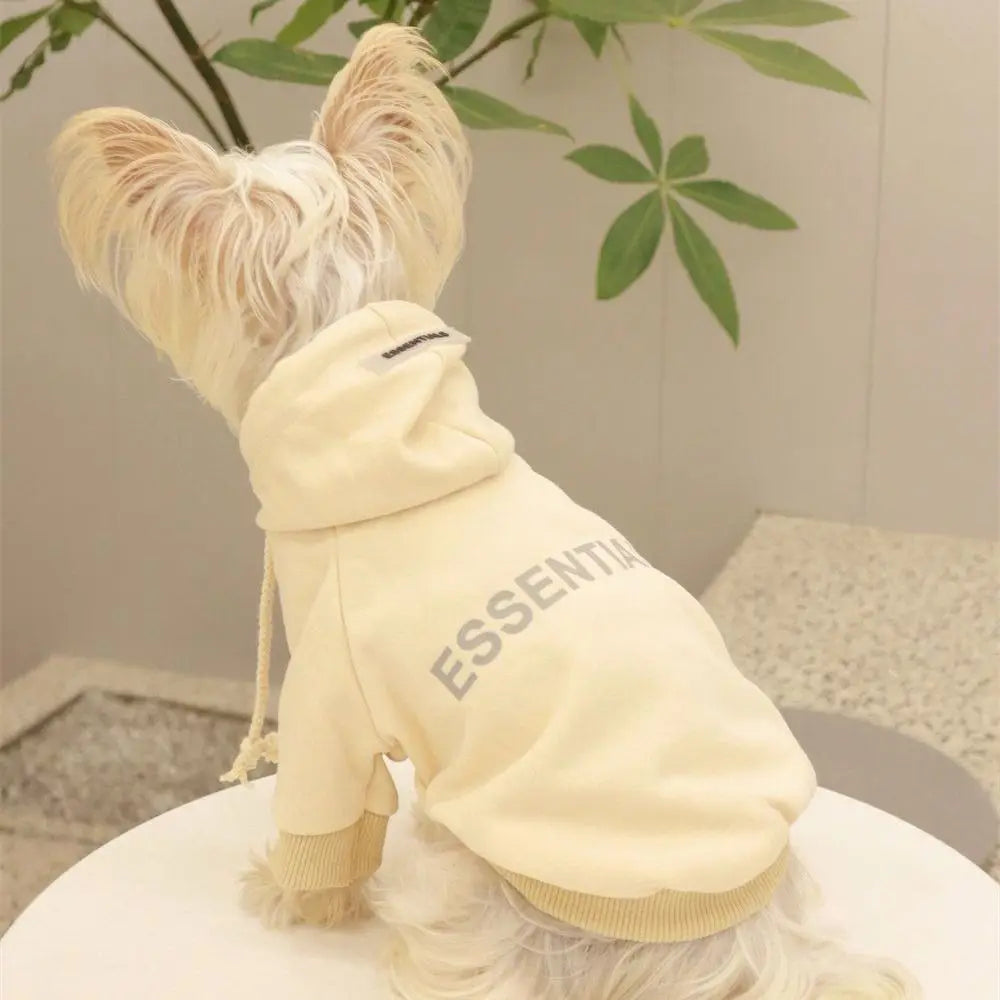 Essentials Dog Sweater - rarefrenchies 