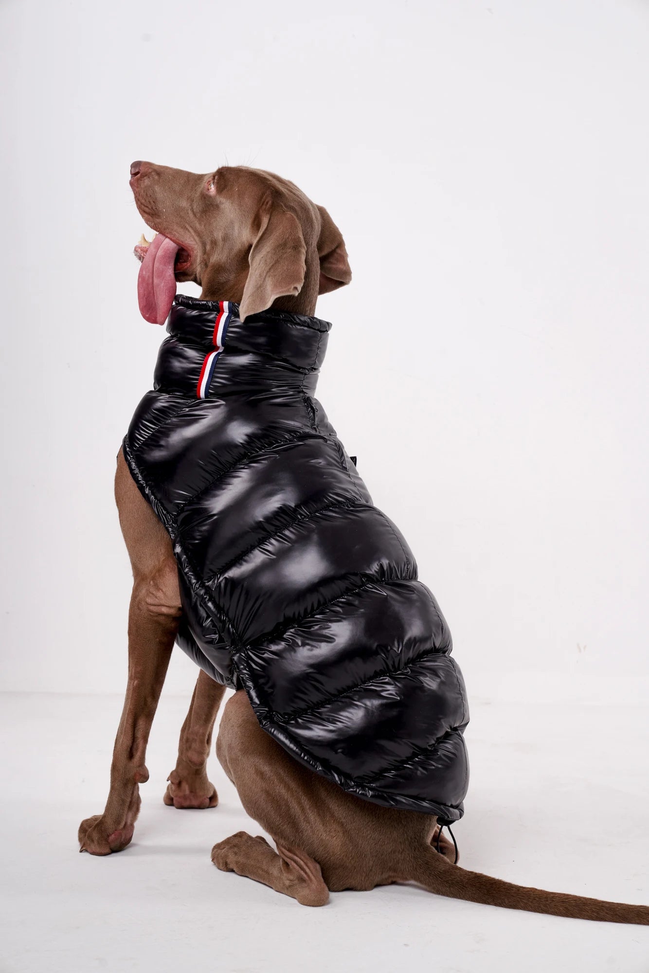 Moncler Puffer Vest - rarefrenchies 