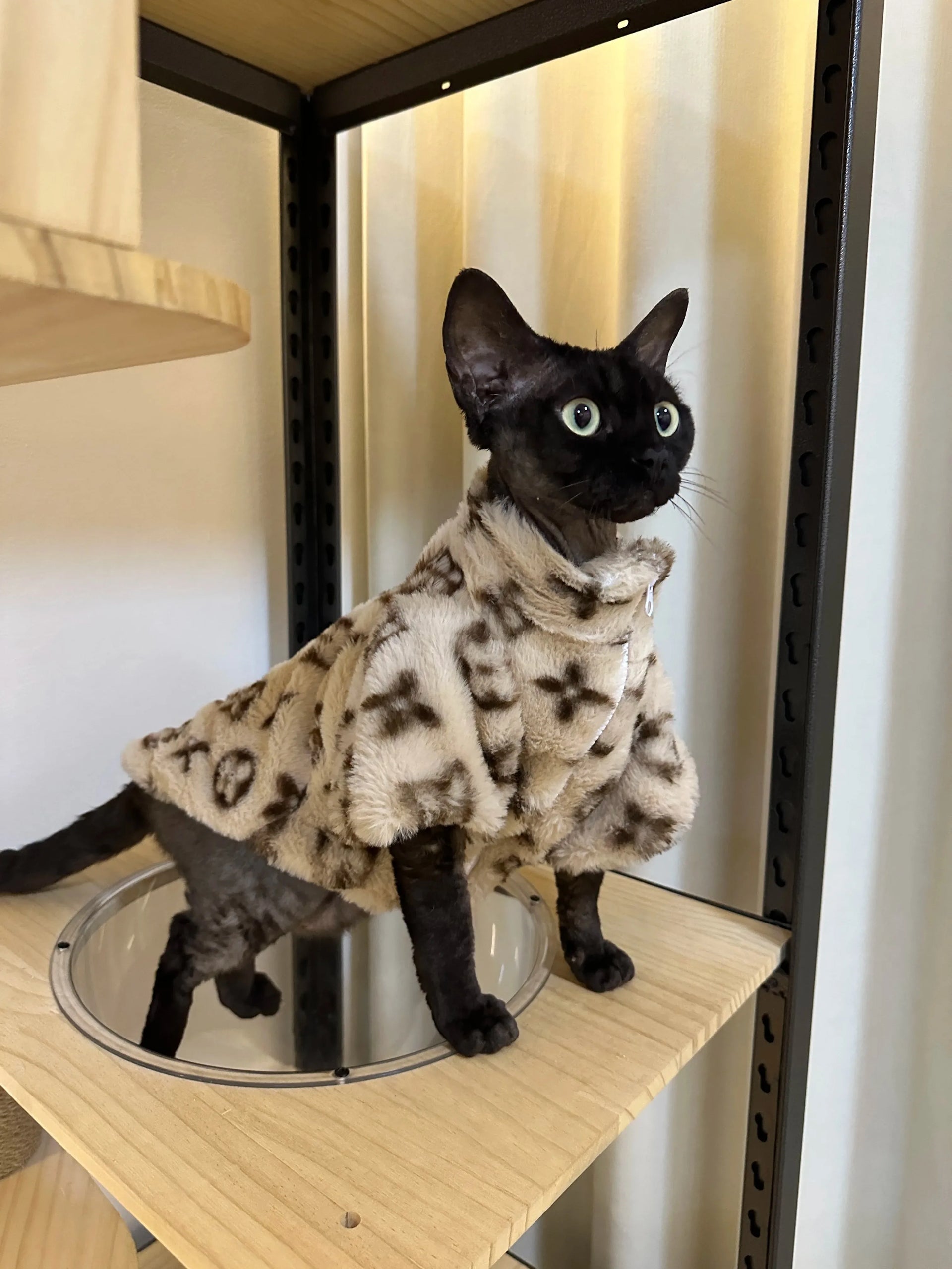 LV Monogram-Designer Jacket - rarefrenchies 
