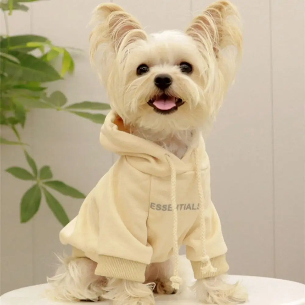 Essentials Dog Sweater - rarefrenchies 