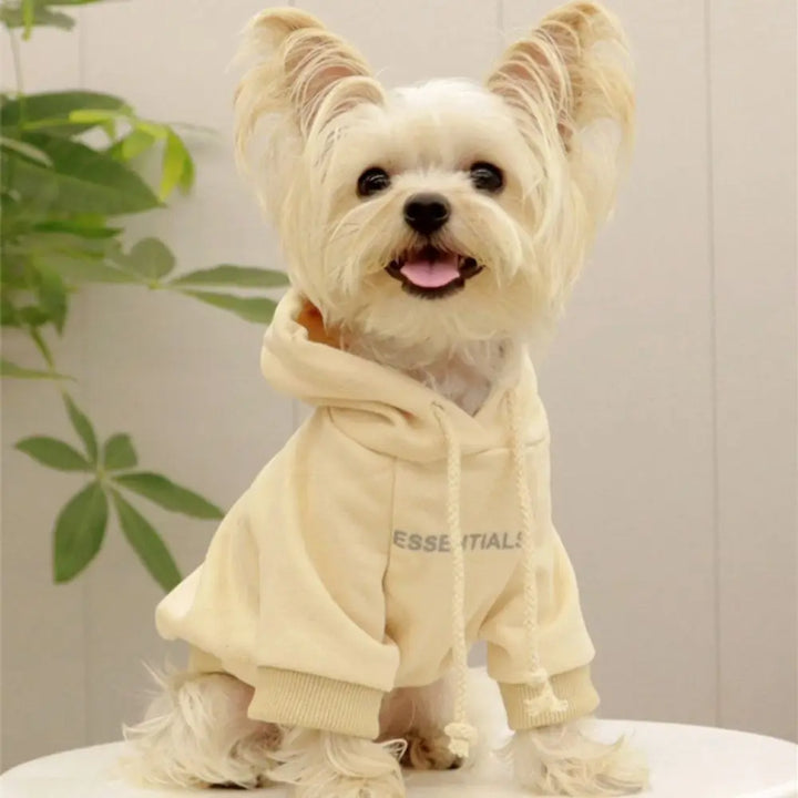 Essentials Dog Sweater - rarefrenchies 