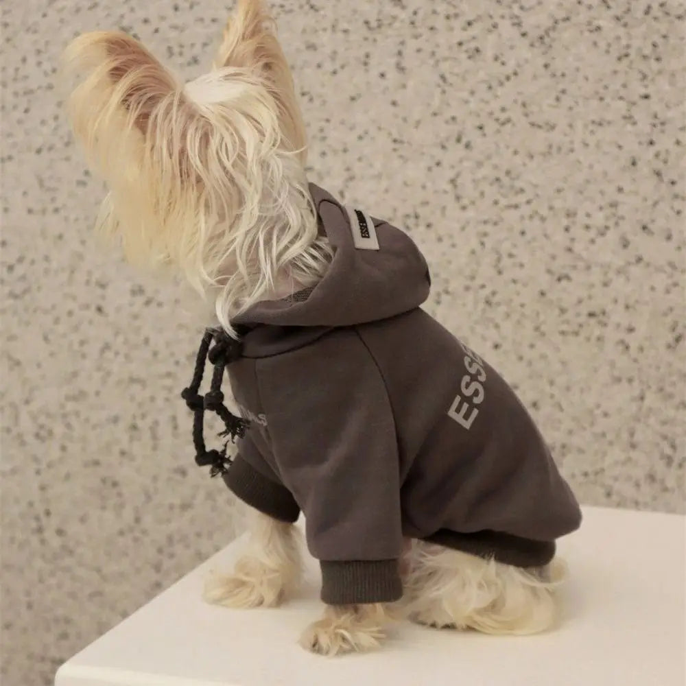Essentials Dog Sweater - rarefrenchies 