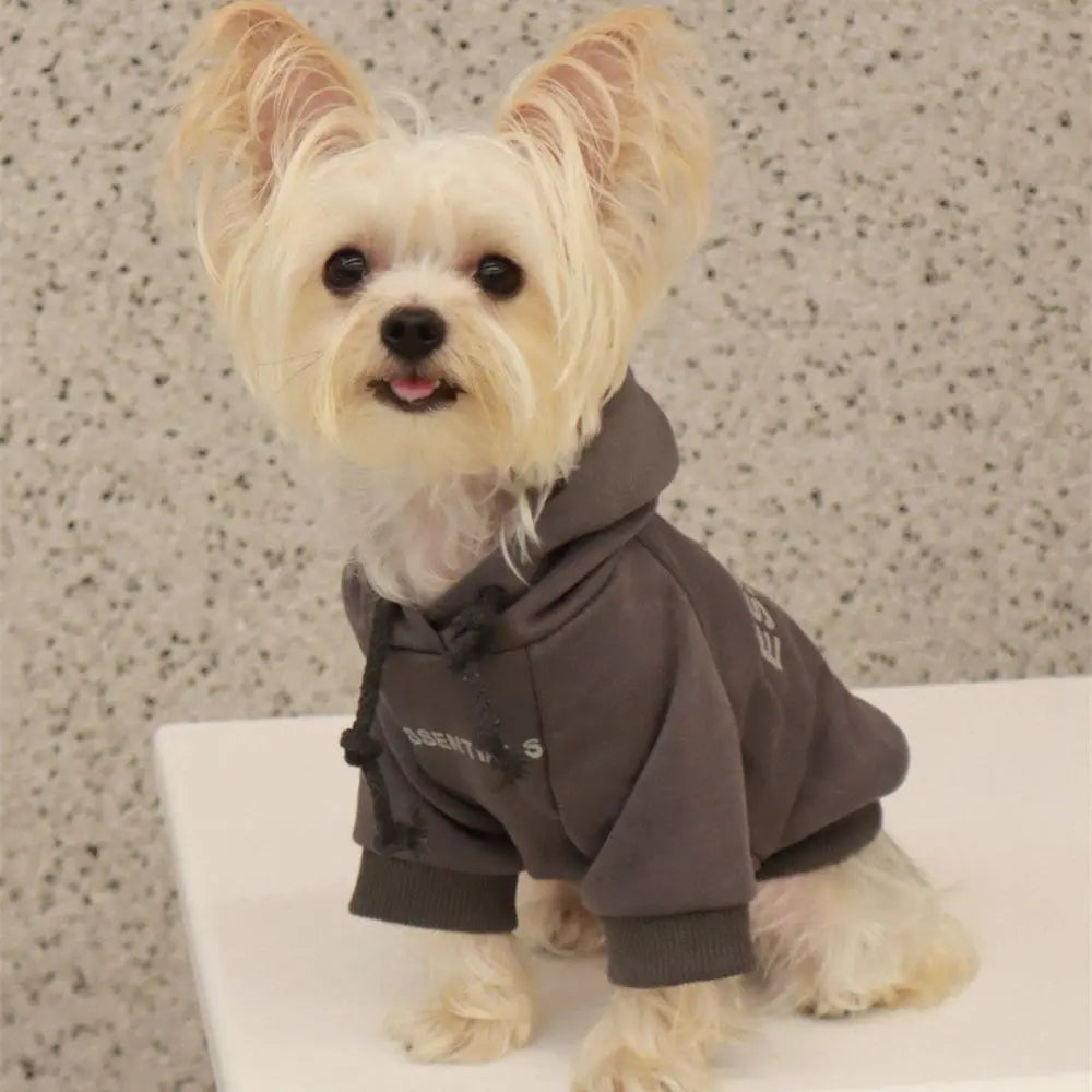 Essentials Dog Sweater - rarefrenchies 