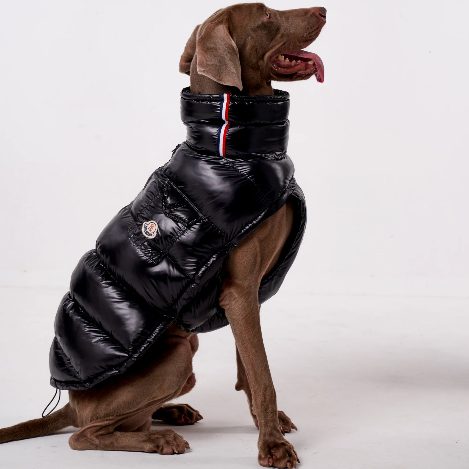 Moncler Puffer Vest - rarefrenchies 