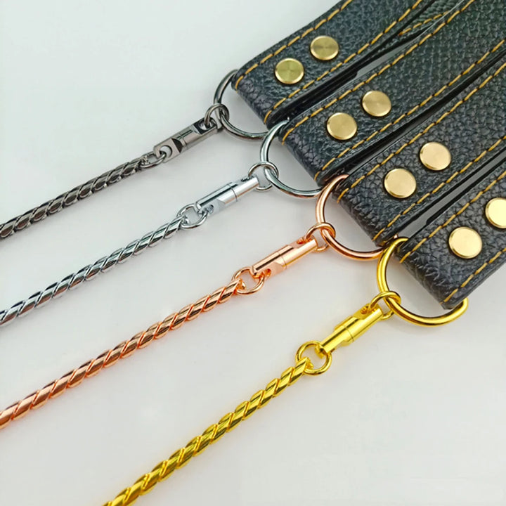 Integrated Dog Slip Chain Collar Leash 304 Stainless Steel Dog Metal Choke Collar Pet Training Leash Show with Leather Handle