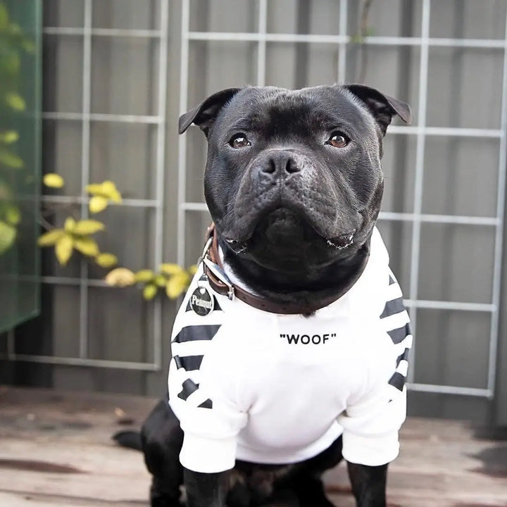 Pet Dog Clothes for French Bulldog Adidog Stripe Pattern Dogs Hoodie Clothes Jacket for French Bulldog - rarefrenchies 